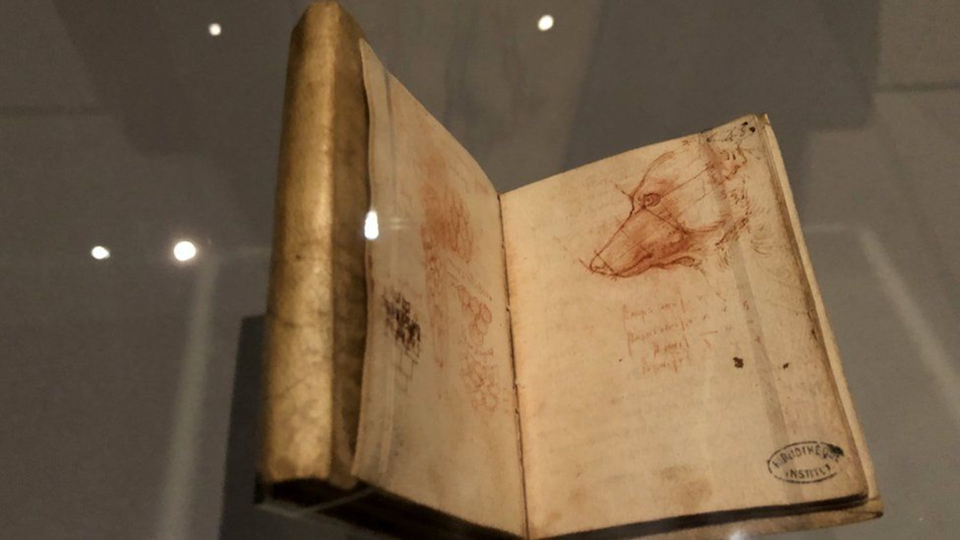 Nakreslená podobizna psa v jednom z da Vinciho deníků