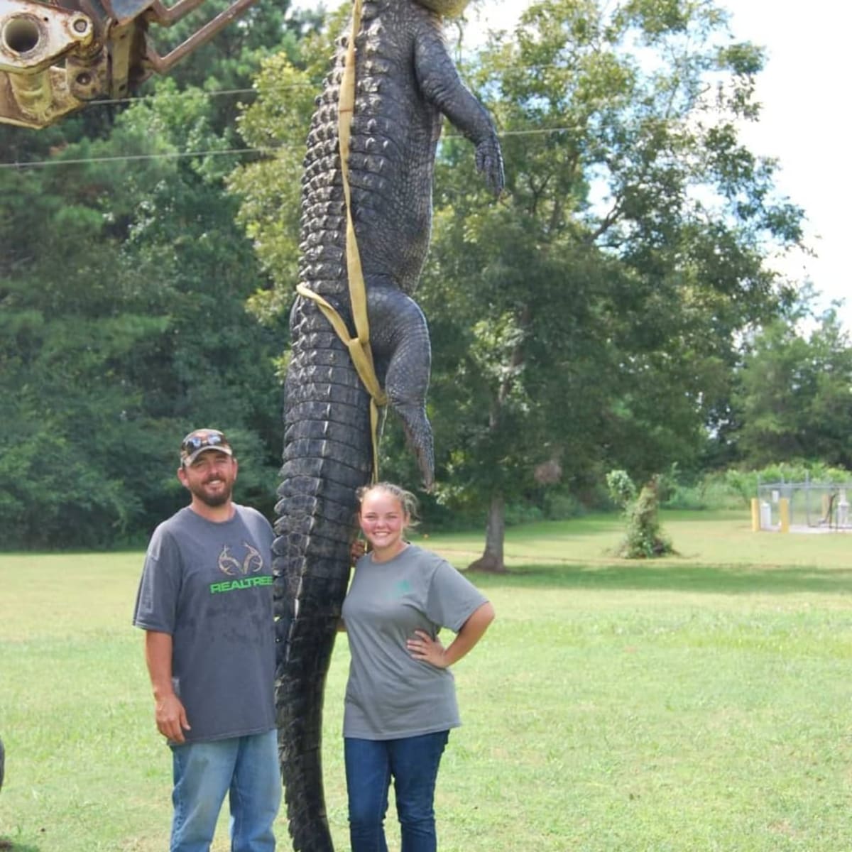 Obřího aligátora chytili ve státě Georgia