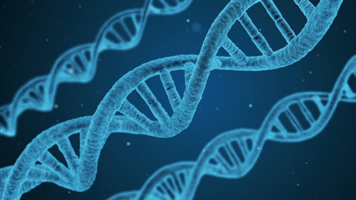 ilustrační foto- DNA