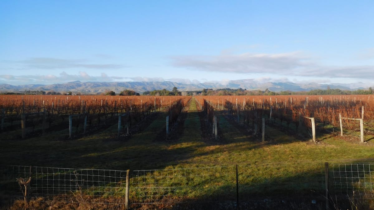 Krásná vinařská oblast Marlborough, Nový Zéland