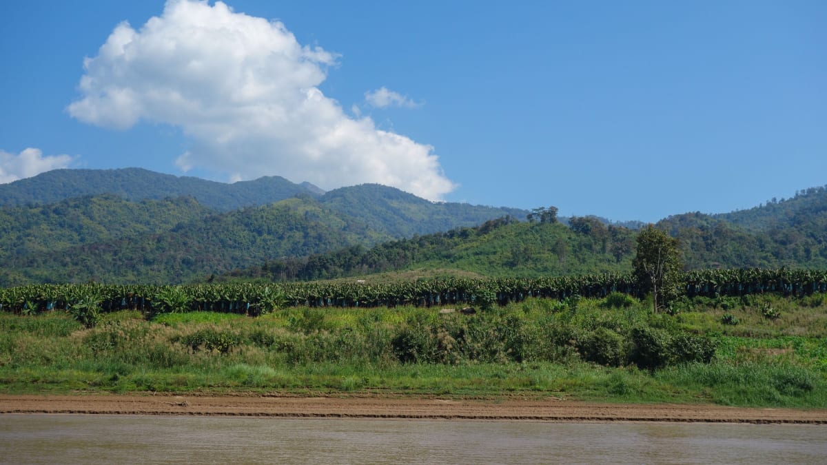 Banány kam se podíváš, plavba po Mekongu, Laos