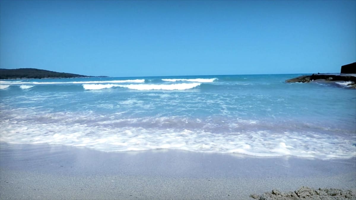 Moře u Kanárských ostrovů je zamořené sinicemi