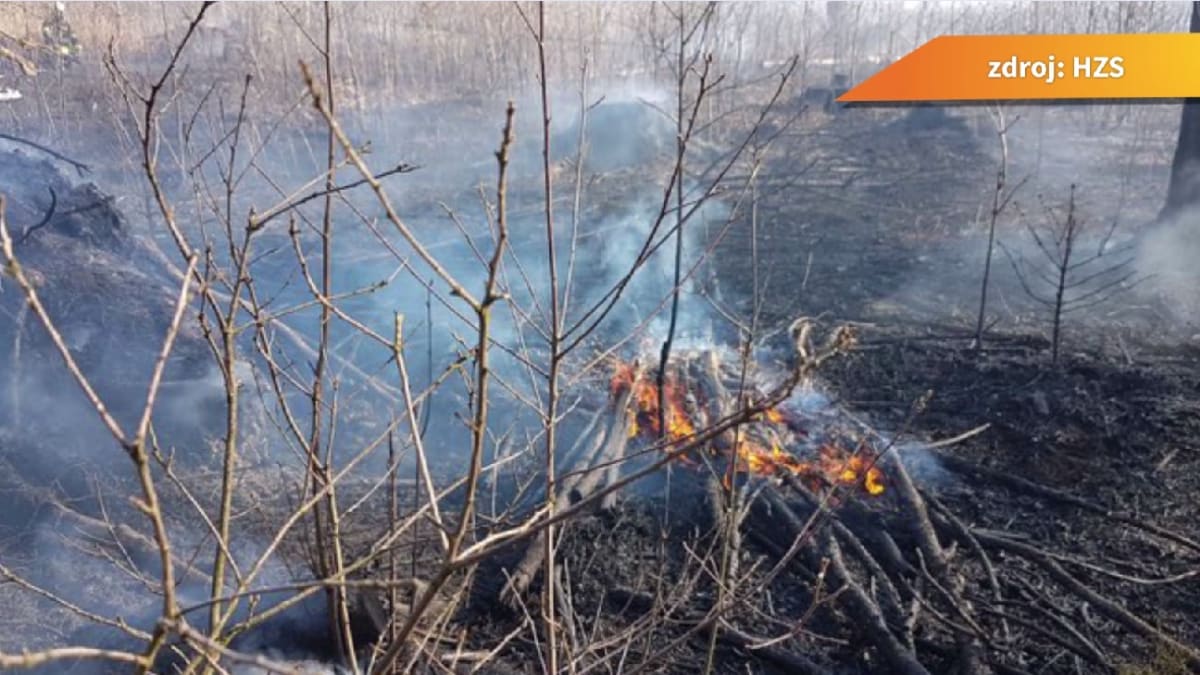 Co je příčinou lesních požárů na Moravě?