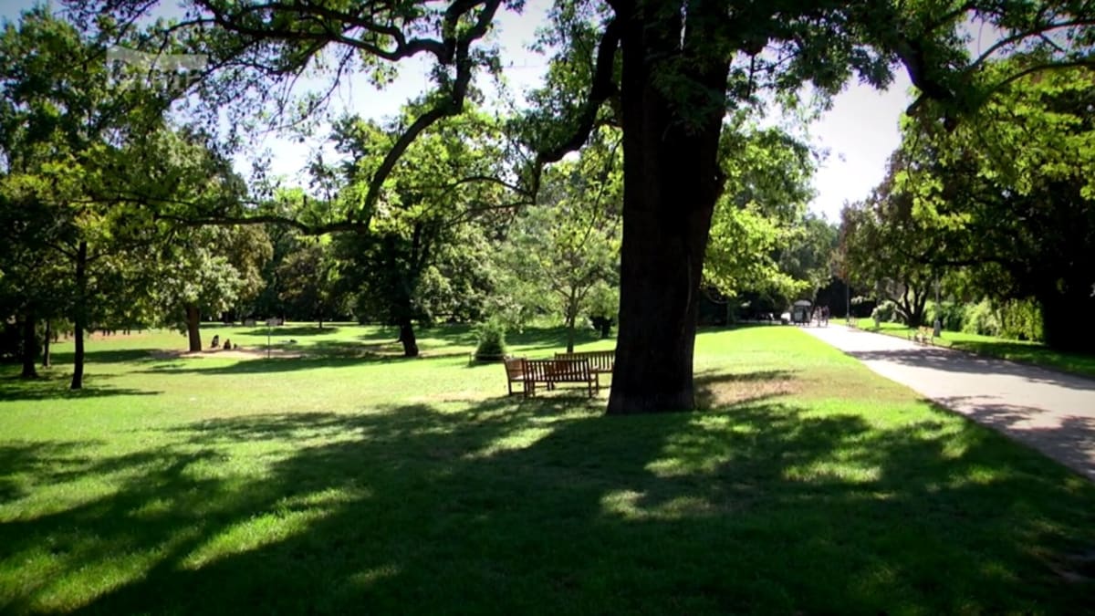 Učitelky zapomněly dvouleté dítě v parku