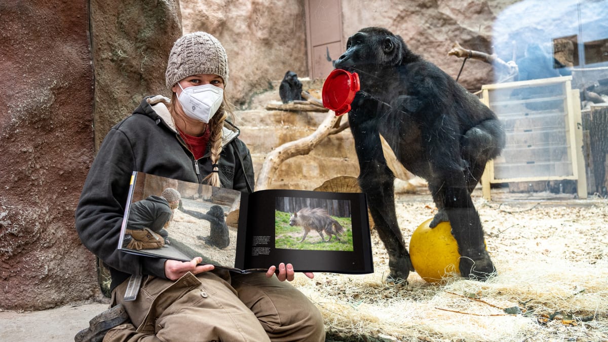 Chovatelka Lucie Holatová s knihou Ztichlá zoo v Pavilonu goril