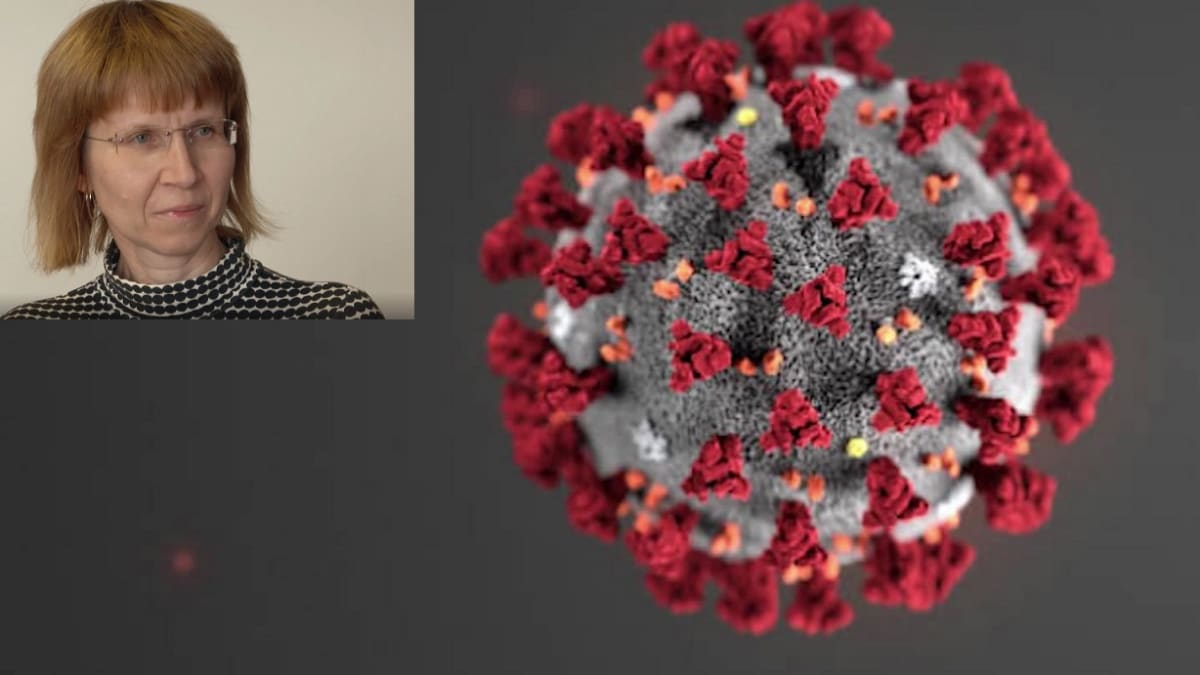 Jaký je rozdíl mezi koronavirem a chřipkou?