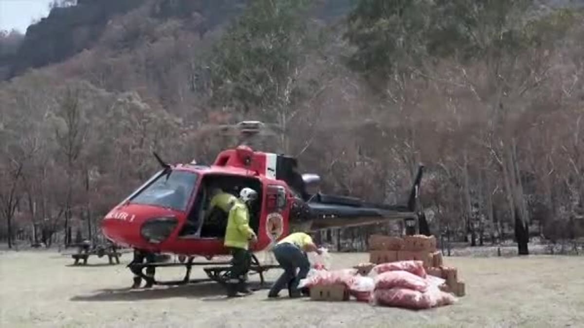 Potravu pro hladová zvířata shazují vrtulníky                      ZDROJ: CNN