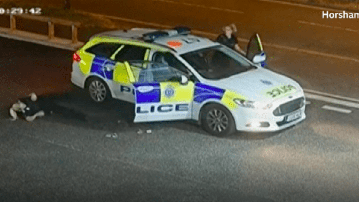zloděj nasedá do policejního auta poté, co vyhodil policistku ven