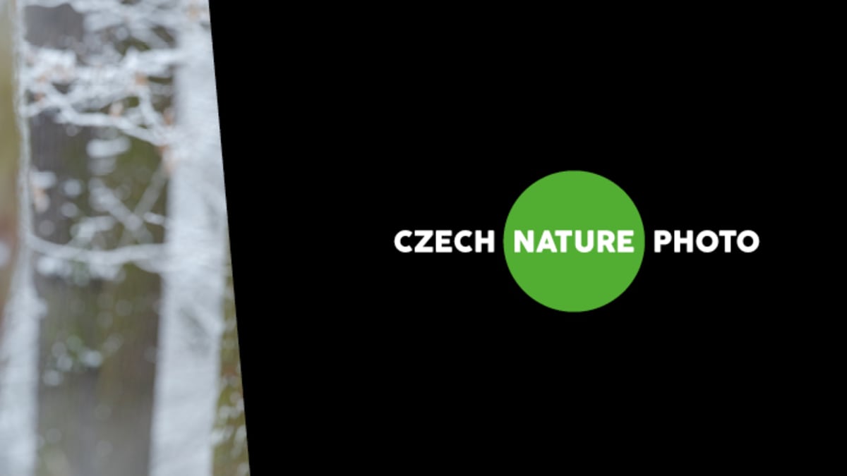 Czech Nature Photo