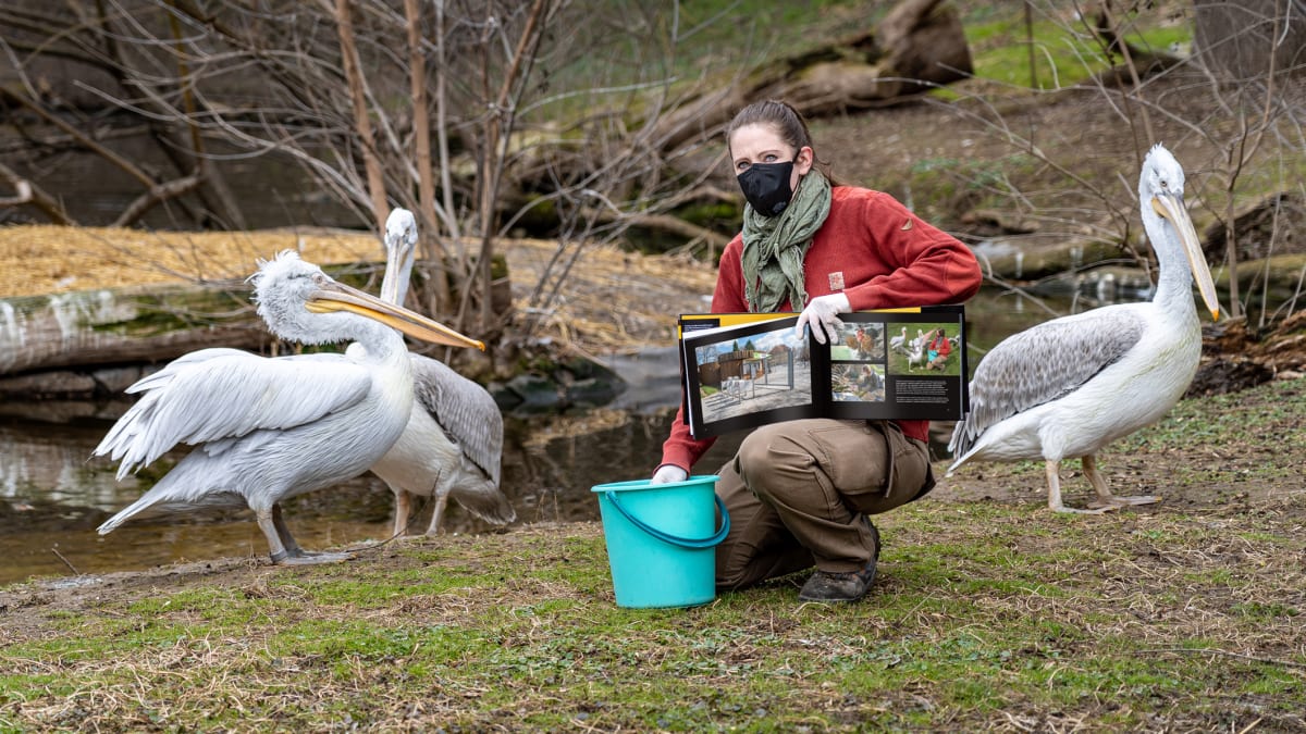 Vrchní chovatelka ptáků Aneta Kratochvílová s knihou Ztichlá zoo u pelikánů