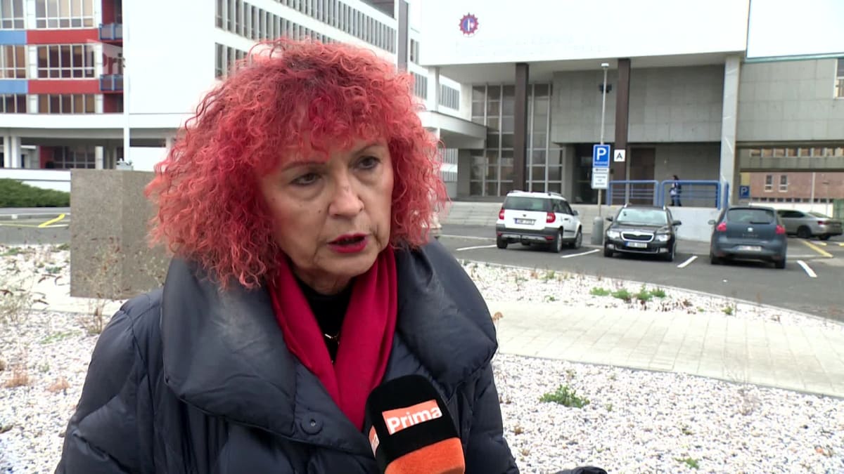 Policejní psycholožka Ludmila Čírtková rozebírá, z jakých důvodů mohl útočit střelec v ostravské nemocnici