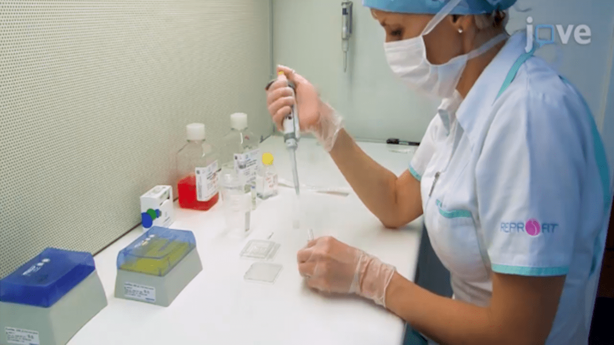 Laboratoř IVF