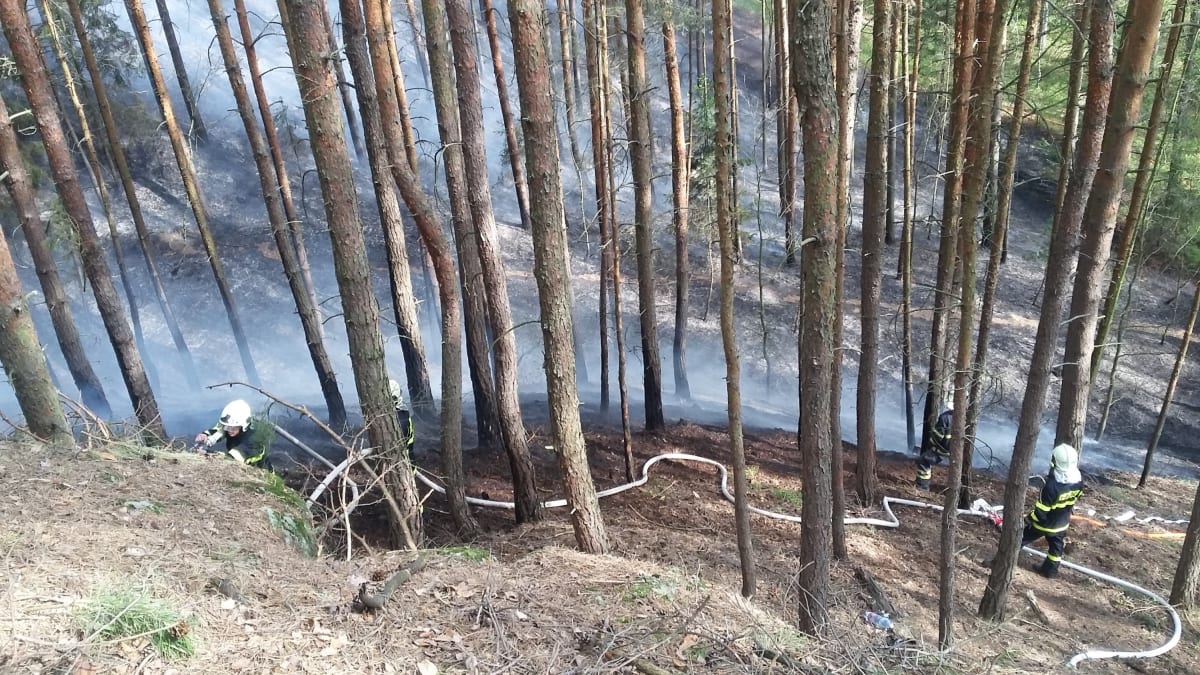 Hasiči už druhý den bojují s požárem lesa