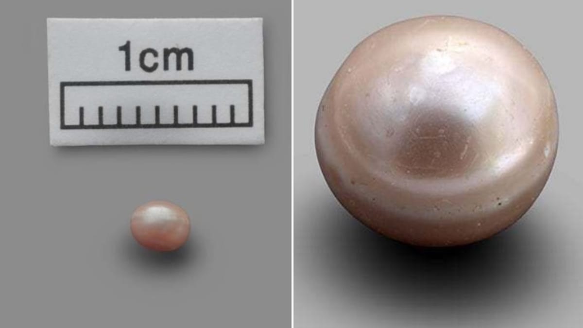Ve Spojených arabských emirátech nalezená nejstarší perla