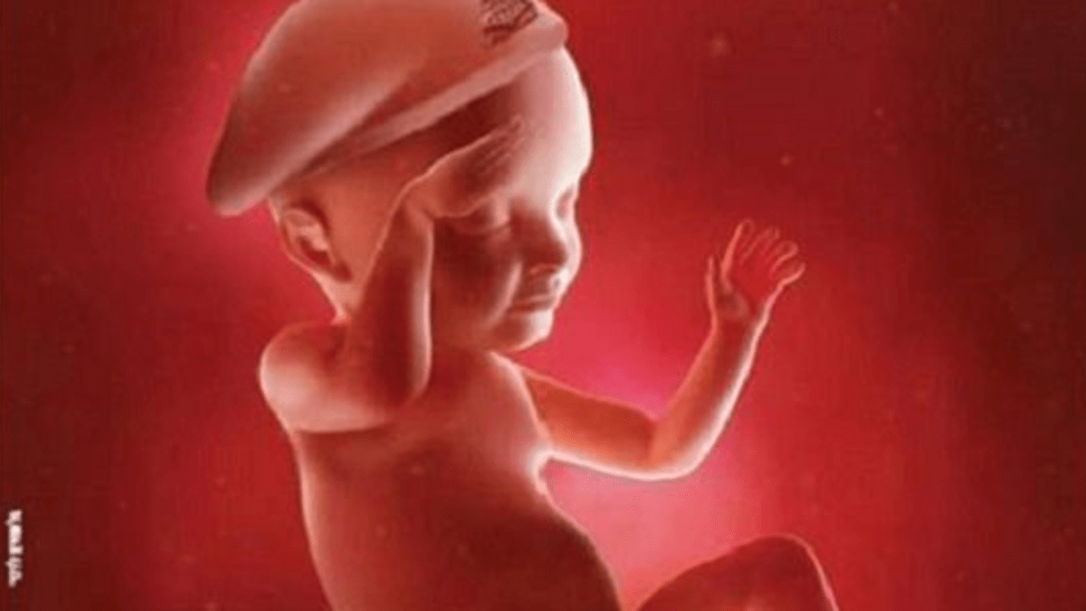 : Ultrazvuk zobrazuje plod dítěte jako salutujícího vojáka