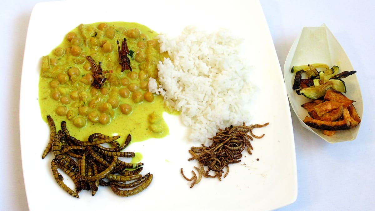 Vzpomínka na Indii (hmyz vícero druhů v pikantní omáčce s kokosovým mlékem, mangem a rýží)