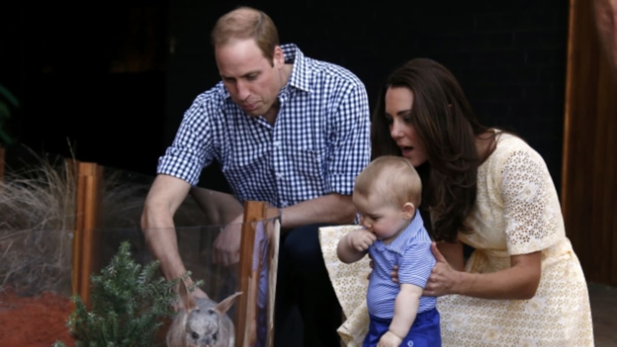 Malý králíček dostal jméno George po malém princovi