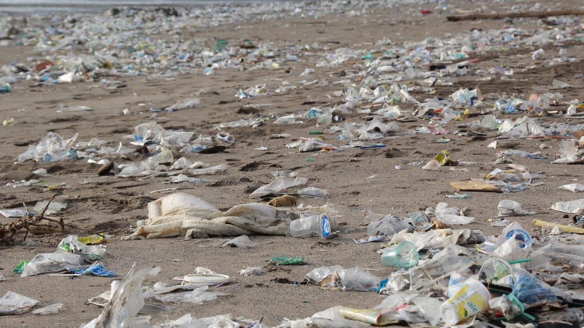 Plasty stále více znečišťují moře a oceány