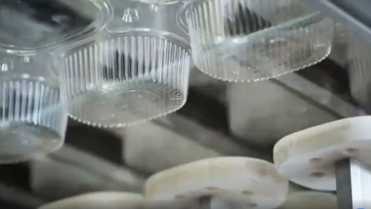Jen v České republice se za rok spotřebuje 20 tisíc tun plastového nádobí, uvádí ministerstvo