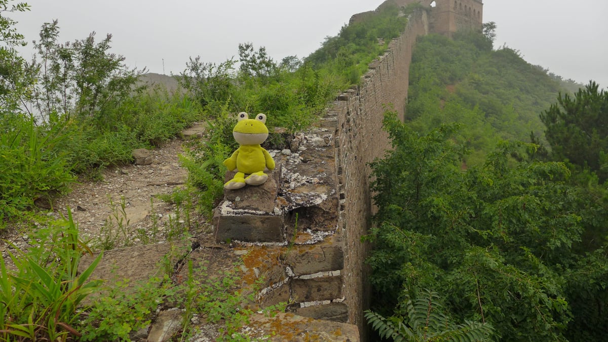 I Drahuš se na Velké čínské zdi líbilo