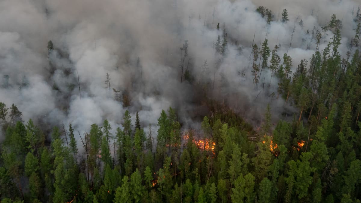 Požáry na Sibiři ostře sleduje také organizace Greenpeace. Toto je její fotografie