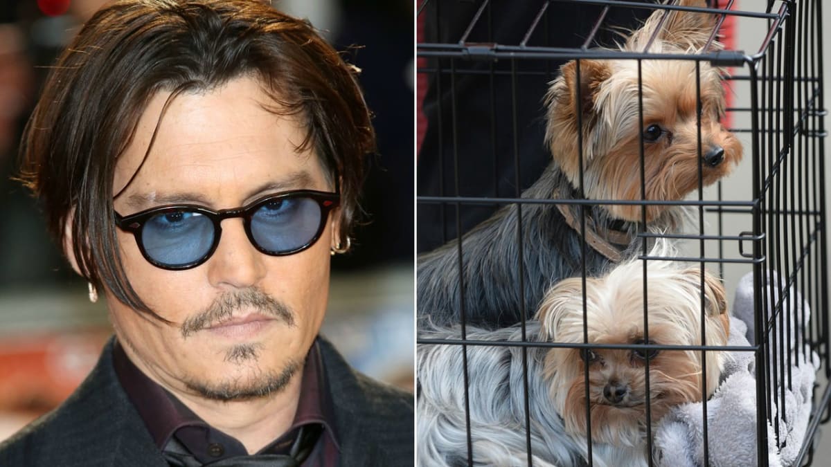 Depp neprozradil, zda si dal své psy na víně či na česneku.