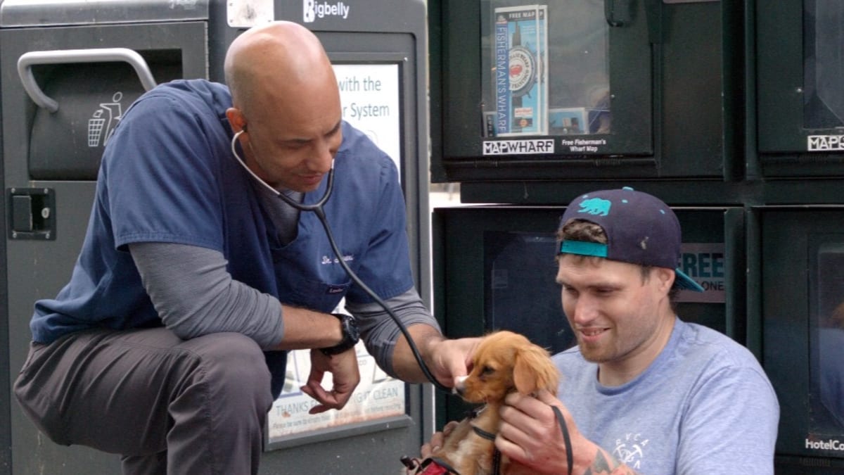 Veterinář zdarma ošetřuje zvířata bezdomovců
