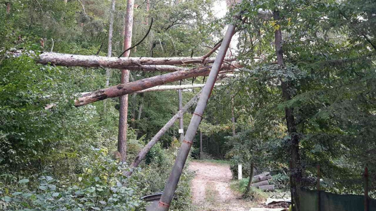 Strom poničil elektrické vedení na Brněnsku