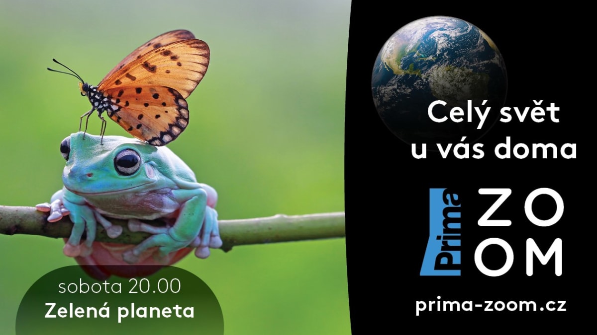 image kampaň Prima ZOOM 2022