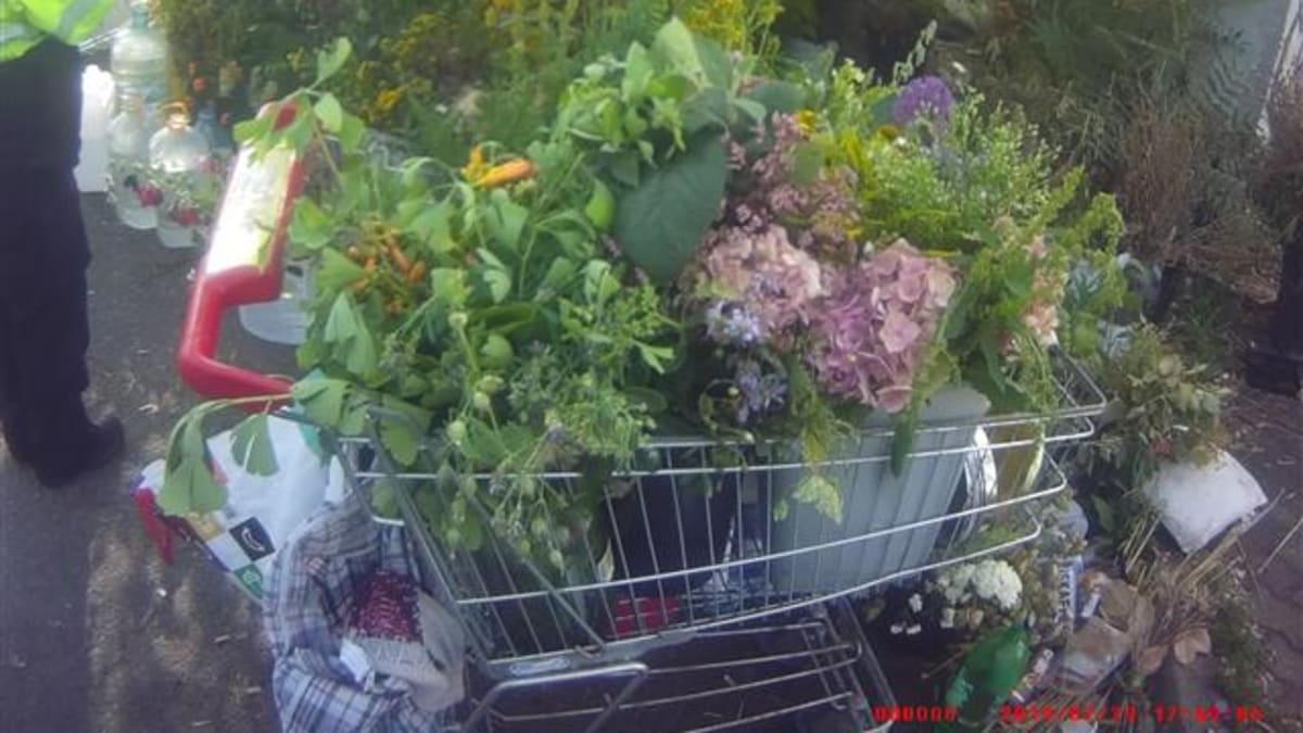 Žena vezla ukradené květiny v nákupním košíku