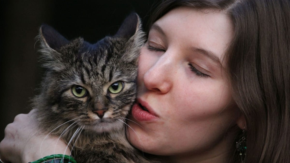 Slyší kočky na své jméno, nebo ne? Japonští vědci došli k zajímavým závěrům