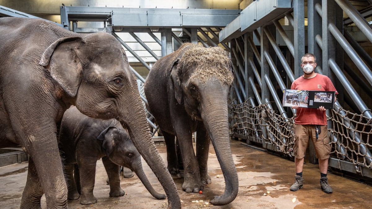 Vrchní chovatel slonů Martin Kristen vzpomíná na vznik fotografie z knihy Ztichlá zoo