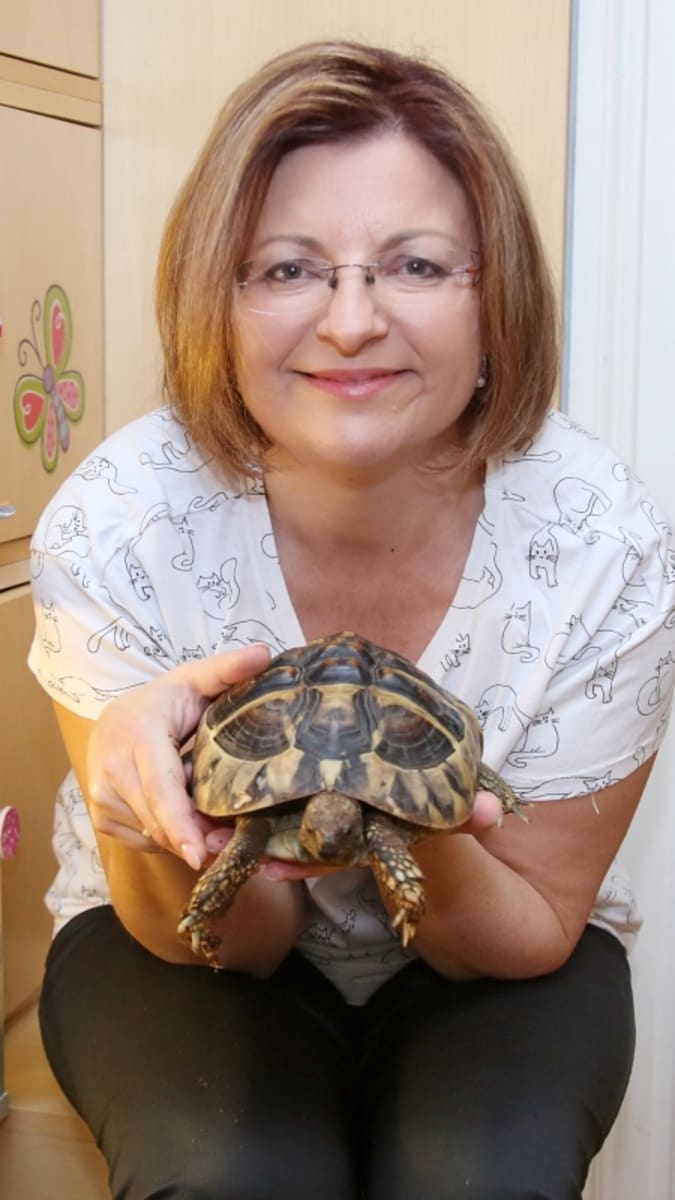 Paní veterinářka Míša nám poradí s chovem želv