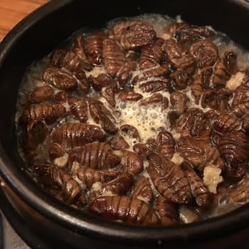 Že by se stal hmyz na talíři u nás běžnou záležitostí?