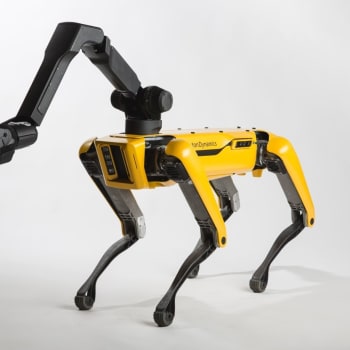 Robotický pes