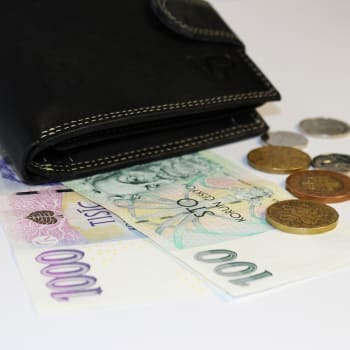 Vláda zvýší platy pracovníkům ve státní sféře o 1500 korun