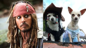 Johnny Depp musí prchnout z Austrálie. Chtějí mu tam zabít psy!