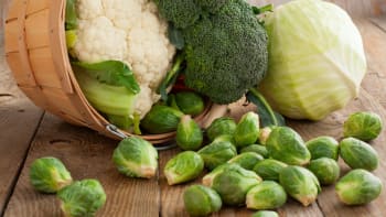 Jak připravit skleník na košťálovou zeleninu