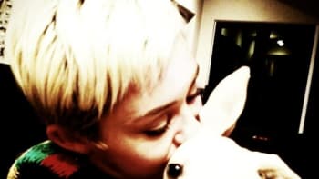 S tímhle miláčkem Miley Cyrus stoluje!