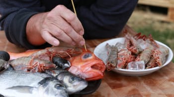 Nákupní manuál: Jak vybírat plody moře a ryby