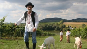 Exkluzivně z filmu Martin a Venuše: Tomáš Hanák pásl kozy