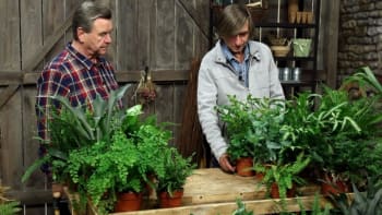Jak doma pěstovat kapradiny? Dozvíte se v pořadu RECEPTÁŘ PRIMA NÁPADŮ