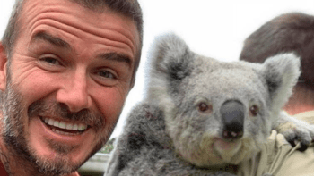 NOVÉ FOTO: David Beckham zveřejnil fotku s tasmánským čertem na hlavě