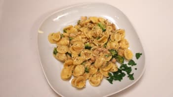 Prostřeno: Italský pokrm orecchiette s kuřecím masem a brokolicí v parmezánové omáčce