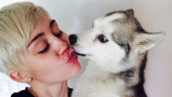 Osobní tragédie Miley Cyrus: Přišla o nejlepšího přítele
