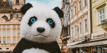 Praha vyžene pandy z centra, maskoti prý zneužívají vyhlášku o pouličním umění