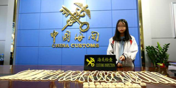 Mladá dívka se snažila propašovat do Číny desítky produktů ze slonoviny. Připevnila si je kolem pasu