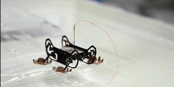 VIDEO: Vědci vyvinuli robotického švába. Umí chodit po vodě i pod ní