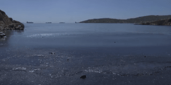 U řeckého pobřeží se potopil tanker. Ropná skvrna zničila podmořský svět u ostrova Salamis