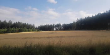 Česko musí změnit  hospodaření s půdou kvůli suchu